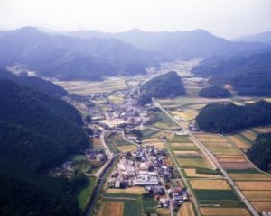上空からの大山地区